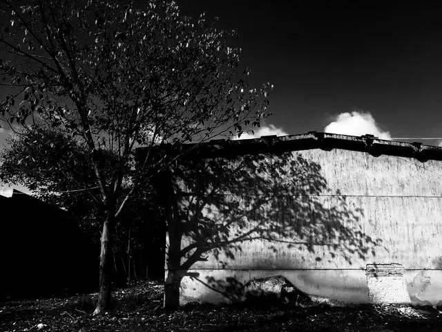 【阅读悦读丨图志】贵阳青岩黄磷厂:一座老工