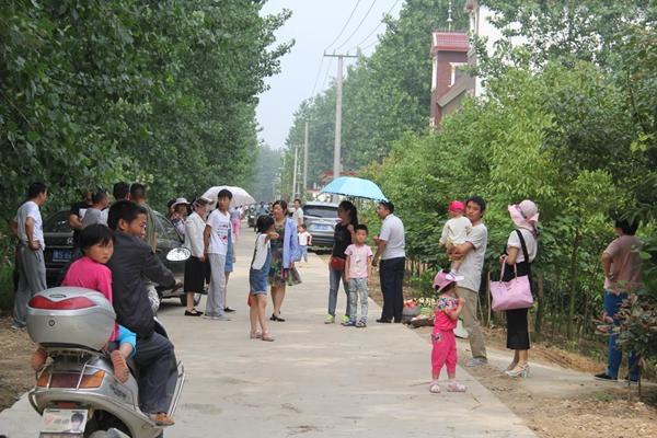河南淮滨:生产队里的桃子采摘节火了小村庄