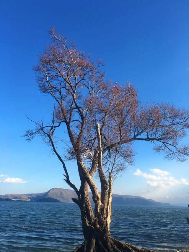 中国最适合新婚夫妇度蜜月的地方
