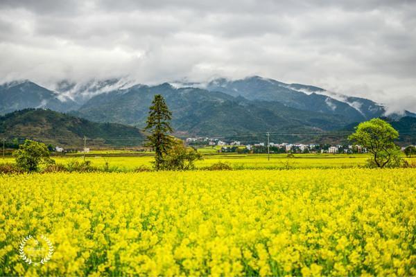 江西小县城人口不足_东部小县城房价静悄悄 猛涨(3)