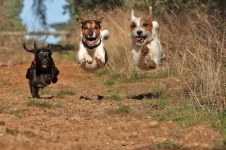 [午FUN来了]自拍一张照汗青|老婆是买车送的车