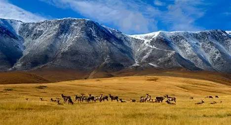 中国各省人血统来源 ,原来河南人来自这里.