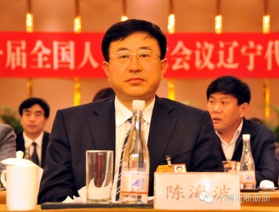 [那些人]女人大代表车牌桂D99999 与高官交往