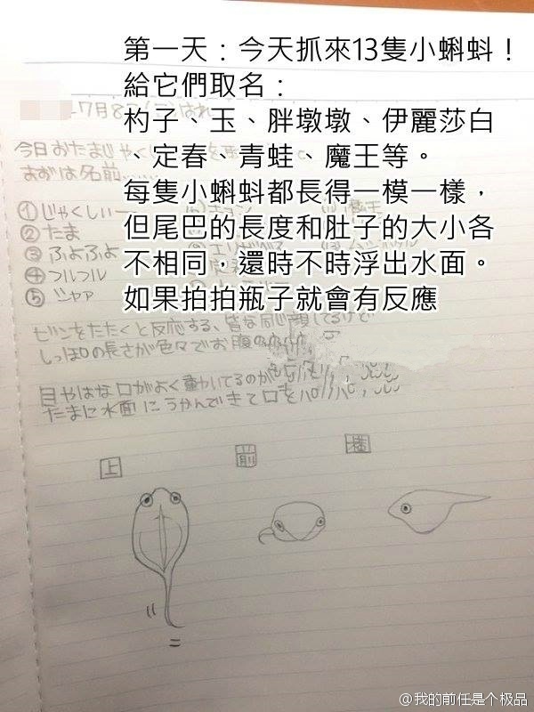 万花筒简谱_童年的万花筒简谱(3)