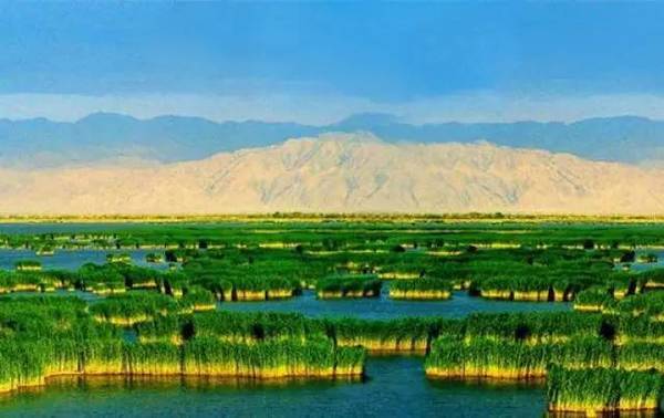 中国各省人血统来源 ,原来河南人来自这里.