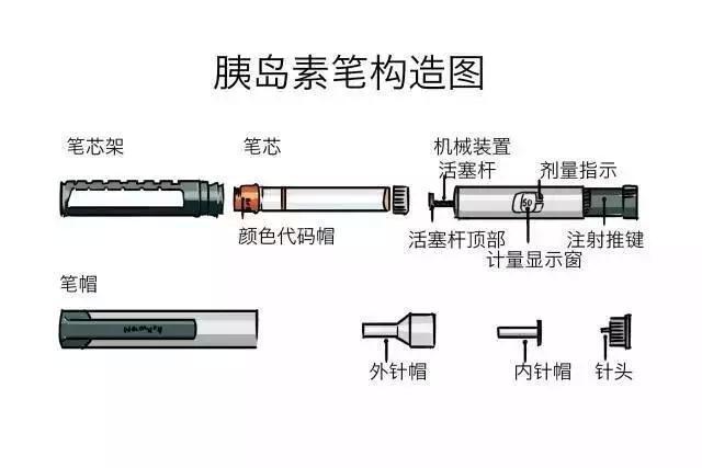 首先,要了解该患者是在哪一段时间出现血糖增高的现象,然后对其进行不同时段的血糖监测,包括空腹血糖、三餐后的2小时血糖、睡前或凌晨3小时血糖共5个时段血糖的监测,然后再根据不同情况寻找对策。那么,使用胰岛素后血糖仍不能达标的患者,都有哪些血糖升高的情况以及怎样寻求对策呢?