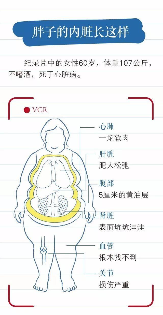 睢县农业人口数_睢县农技人员为秋作物 把脉(2)