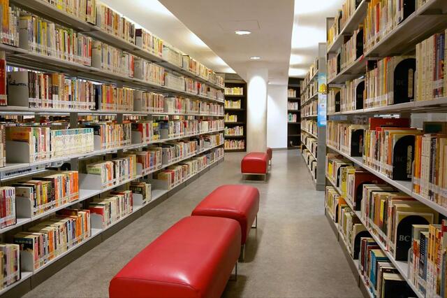 藏书羊肉_人均公共图书馆藏书(2)