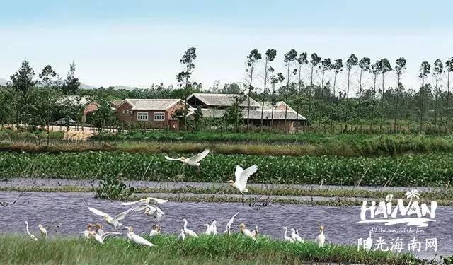 地址:昌江黎族自治县海尾镇石港塘字体湿地内如何设计手抄报范围设计图片