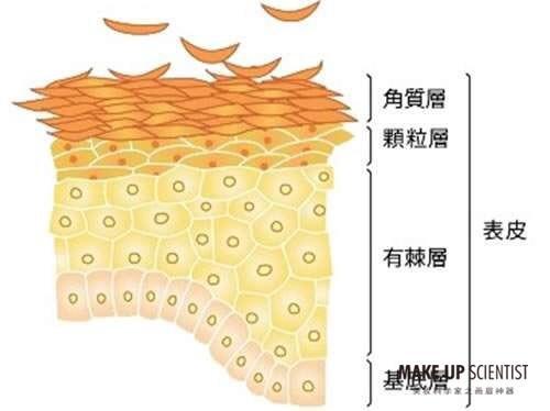 50a0b6427368d72_w500_h374.jpg