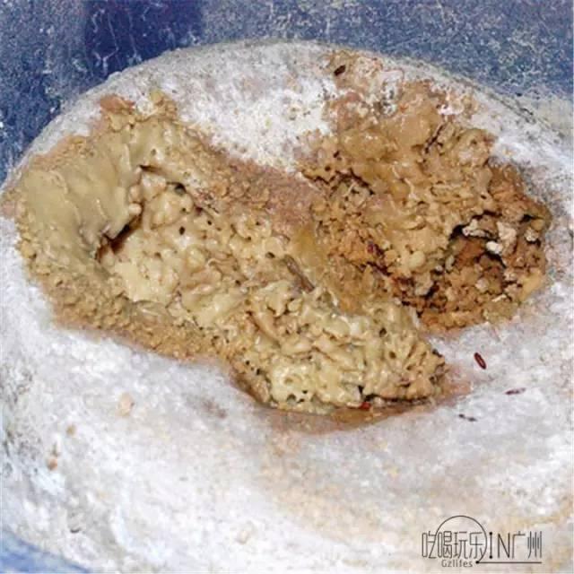 梦境迷离，厕所蛆虫的隐喻与心理解析
