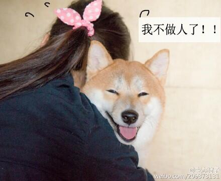 人怎么会变成狗 da0f300ac444665ee48a_size37_w440_h360.jpg
