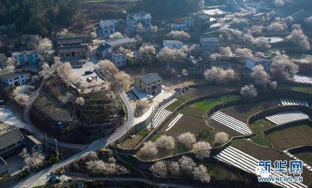 郧阳区的年gdp是多少_郧阳区一中图片