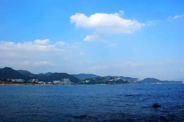 大亚湾核电站_大亚湾核电站收入(3)