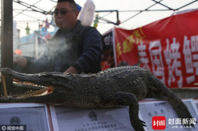 春节庙会惊现烤鳄鱼肉，一天卖出一万多元(图)