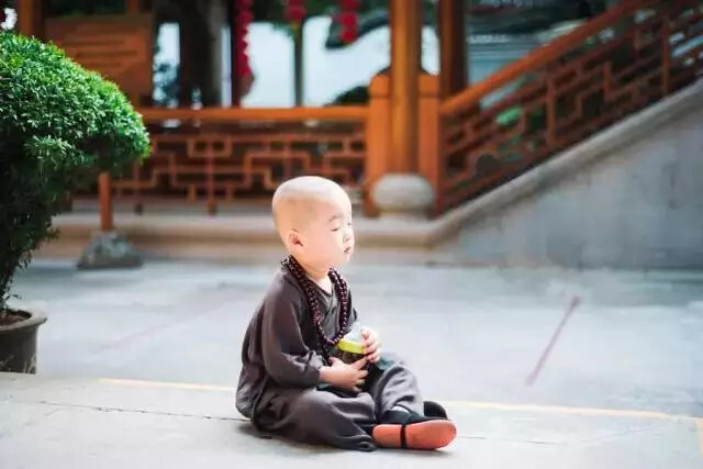 灵隐寺年仅两岁的最萌小和尚
