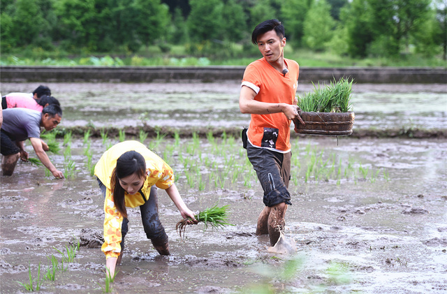 农家乐!谢霆锋携锋味家族插秧又捞鱼[高清大