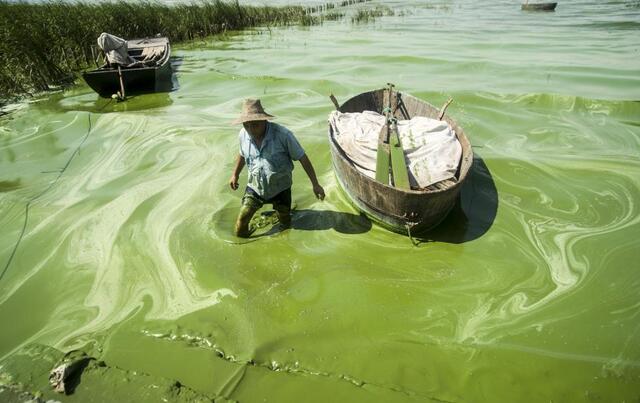 一组中国水污染照片