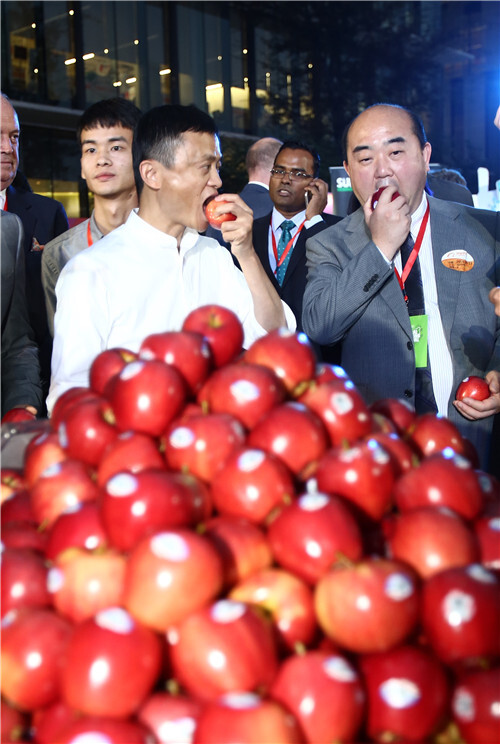 38888元 马云拍下的双11第一单是什么