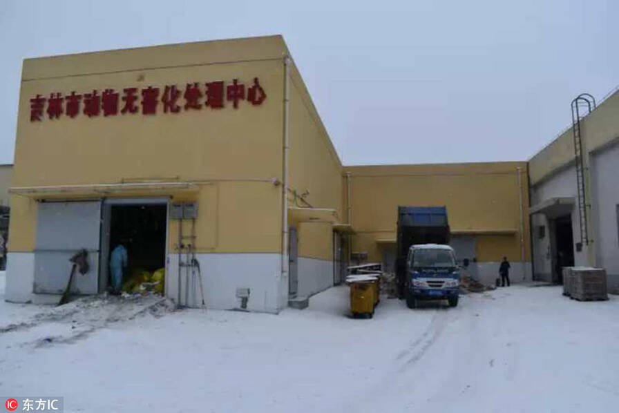 文章配图
