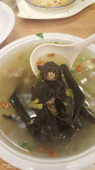 帕劳“日月精华汤” 网友惊呼：广东人也输了(图)