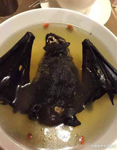 文章配图
