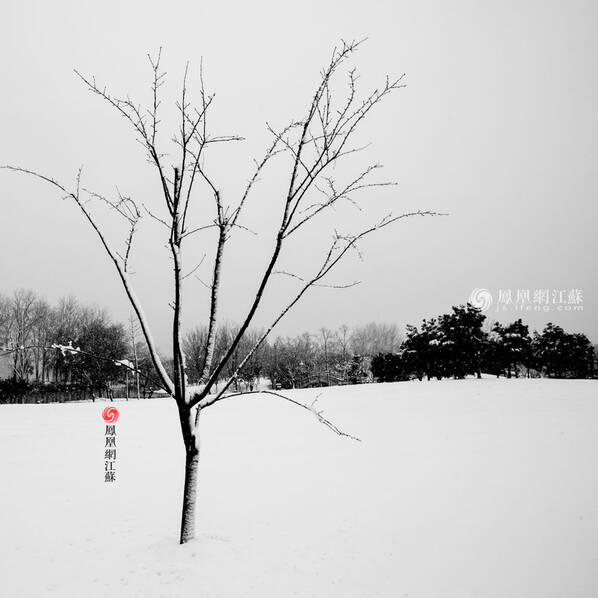正文  10/19 一场雪,赠给南京一组古风国画 1月4日,古城南京大雪纷飞