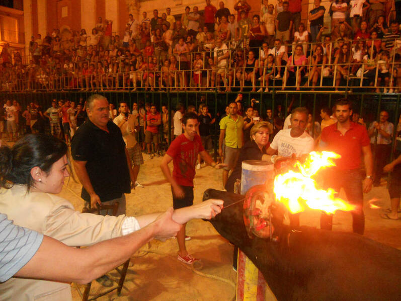 慎入:公牛被活活烧死 西班牙残忍祭祀惹争议(视)