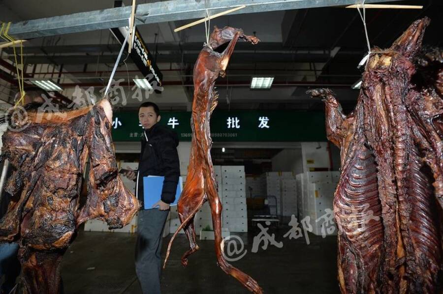 残忍!人前是暖心爱猫人士 背后却杀猫贩卖猫肉 - 梅思特 - 你拥有很多,而我,只有你。。。 残忍!人前是暖心爱猫人士 背后却杀猫贩卖猫肉 - 梅思特 - 你拥有很多,而我,只有你。。。