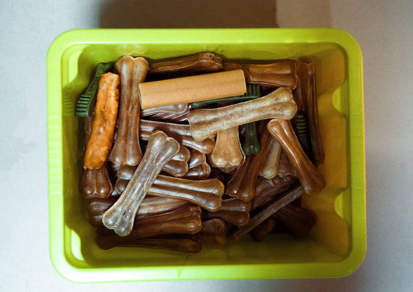 无家可归!探访欧洲最大的动物收容所 - 梅思特 - 你拥有很多,而我,只有你。。。 无家可归!探访欧洲最大的动物收容所 - 梅思特 - 你拥有很多,而我,只有你。。。