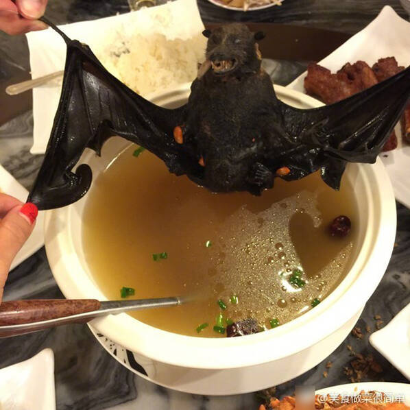 帕劳“日月精华汤” 网友惊呼：广东人也输了(图)