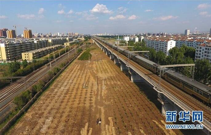 山东拆违建主要拆什么图片