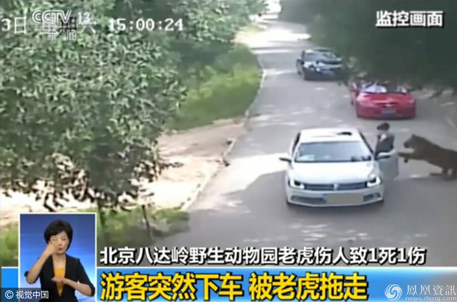 北京动物园一游客遭老虎扑咬全过程