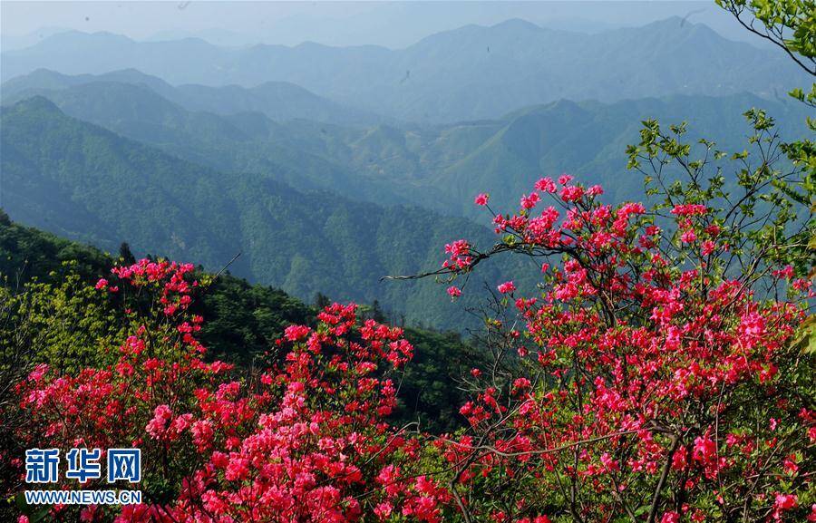 安徽舒城:春到龙眠山(图)