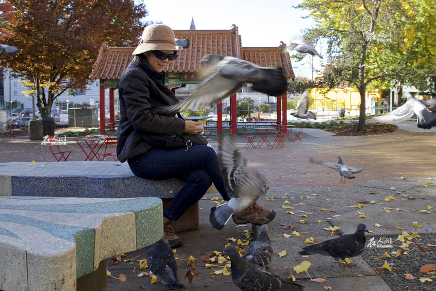 《在人间》第103期:美国华裔独居老人-学网-中