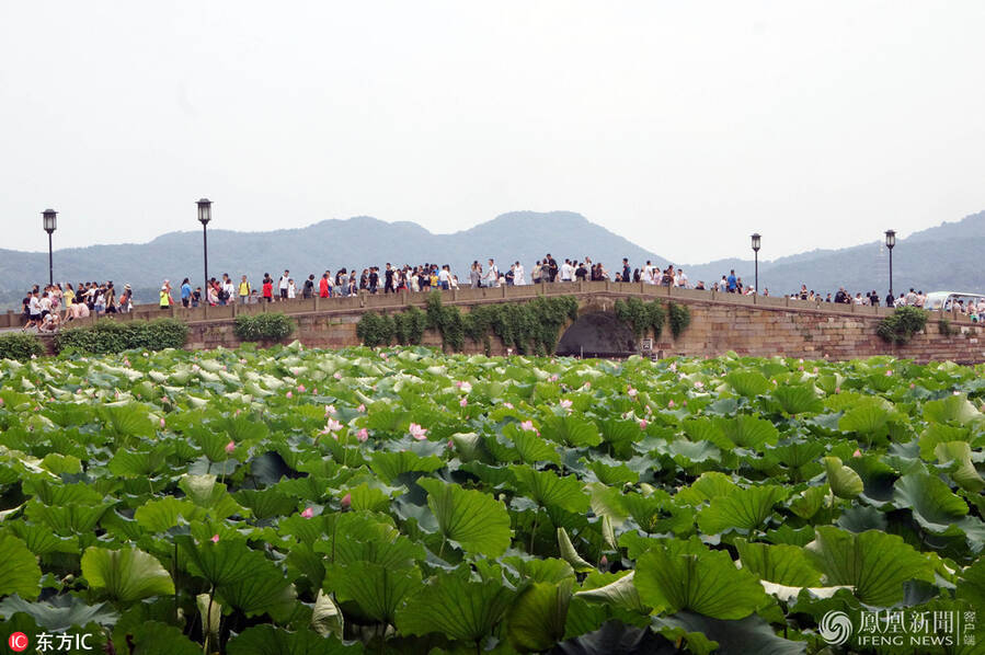 2018年7月9日,浙江省气象台宣布当日出梅: 这