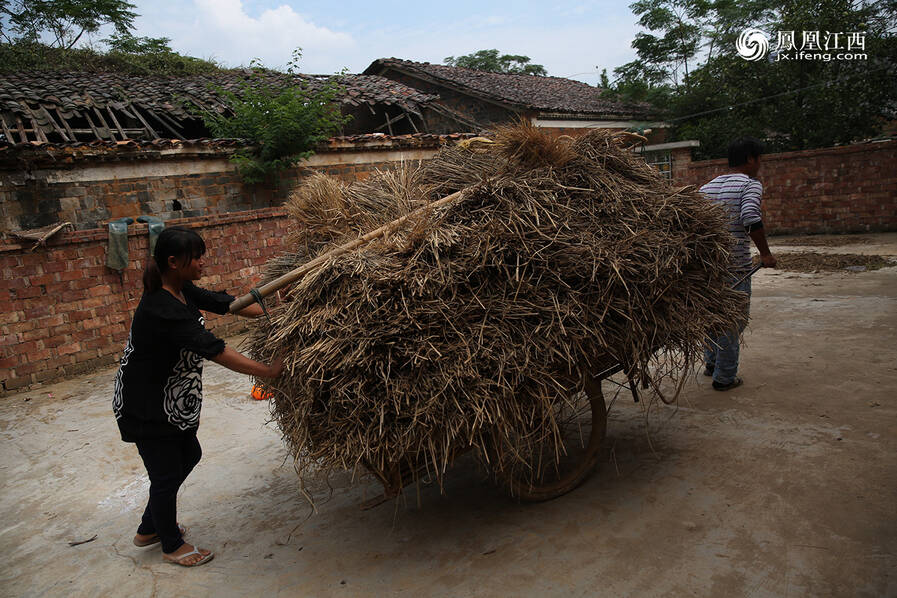 文章配图