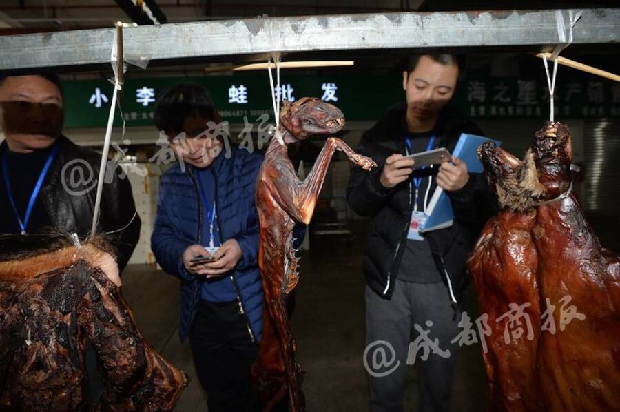 残忍!人前是暖心爱猫人士 背后却杀猫贩卖猫肉 - 梅思特 - 你拥有很多,而我,只有你。。。 残忍!人前是暖心爱猫人士 背后却杀猫贩卖猫肉 - 梅思特 - 你拥有很多,而我,只有你。。。
