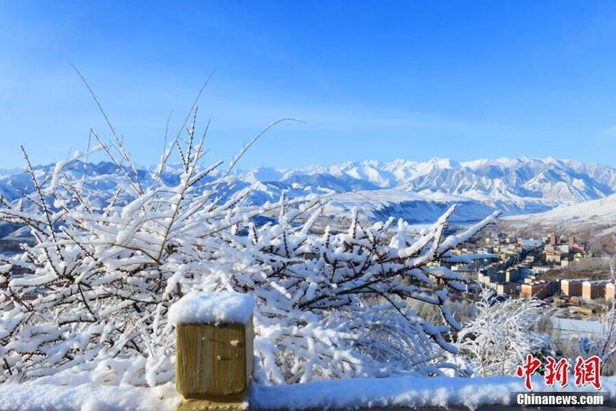 晶莹的霜花,冰凝附着在树枝上,远望银装素裹,洁白一片,宛如仙境.