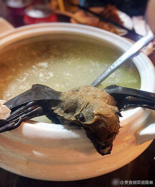 帕劳“日月精华汤” 网友惊呼：广东人也输了(图)