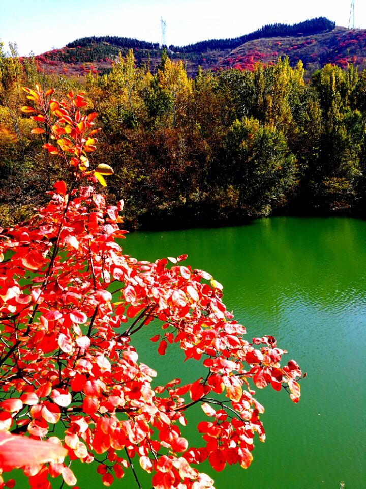 11月1日民俗宜忌与壬辰日个性