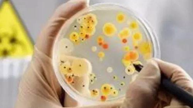 食品安全纪录片第一集《微生物——看不见的战争》