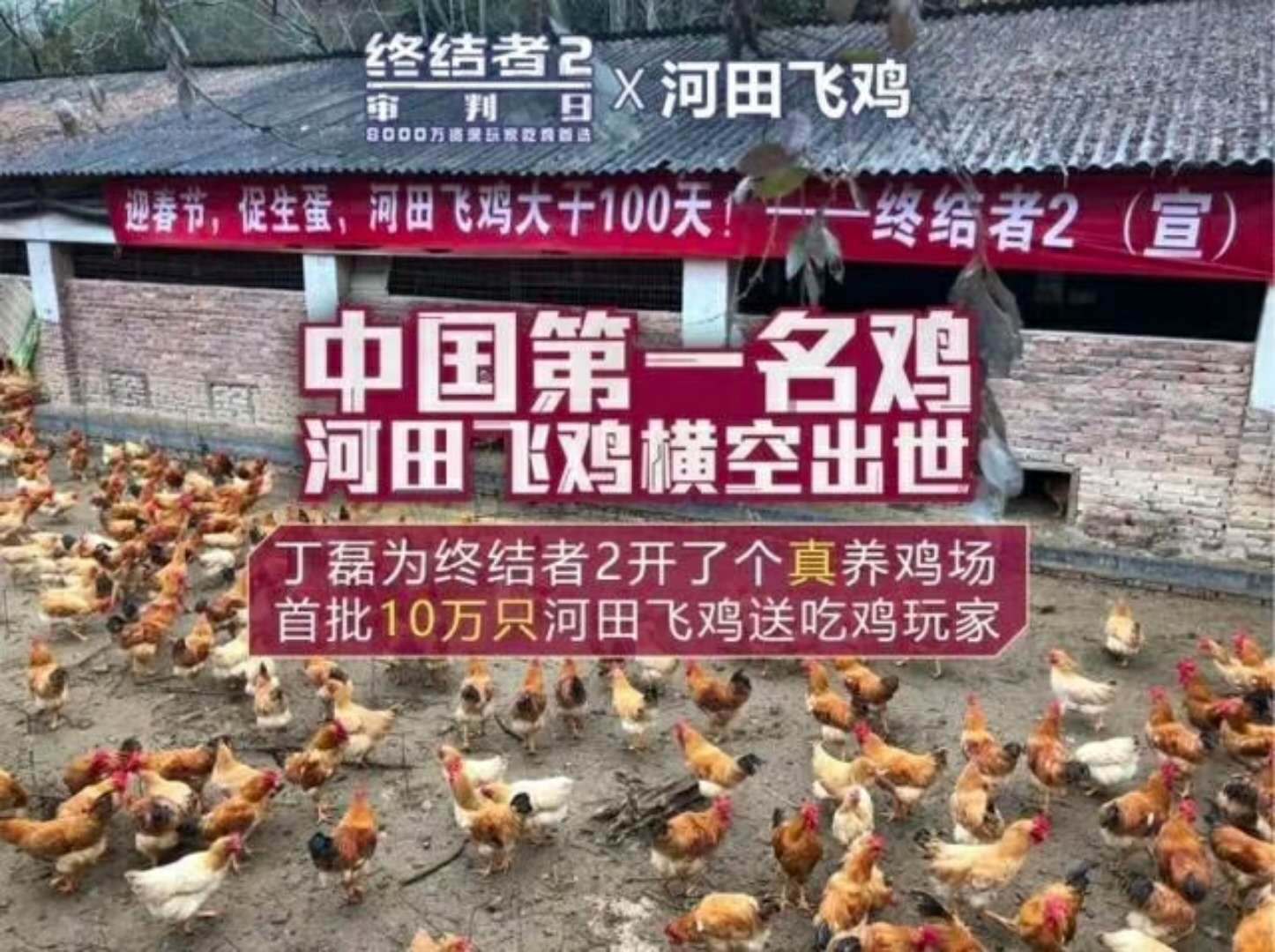 养鸡场招聘_平均月薪4800 招6人,保亭南茂养鸡场招聘信息