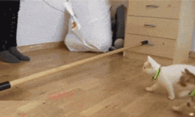 微信之父张小龙我现场跳一跳很紧张只玩到了1000分学妹3分钟