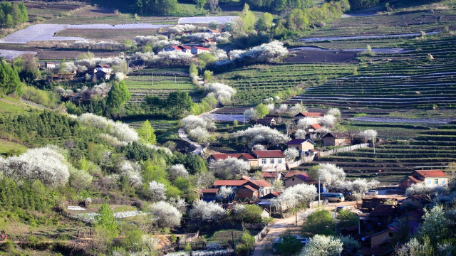 《记住乡愁》 松岭村——勤俭立业