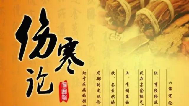 《伤寒论》教学视频全70集.01《伤寒杂病论》的作者