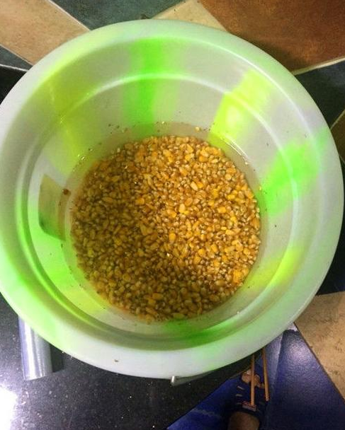 秋季钓鲫鱼鲤鱼绝招!高手分享1招钓鱼饵料配方