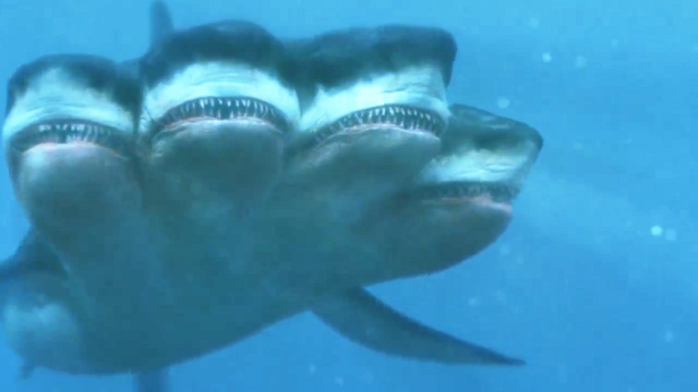 夺命三头鲨–搜凤