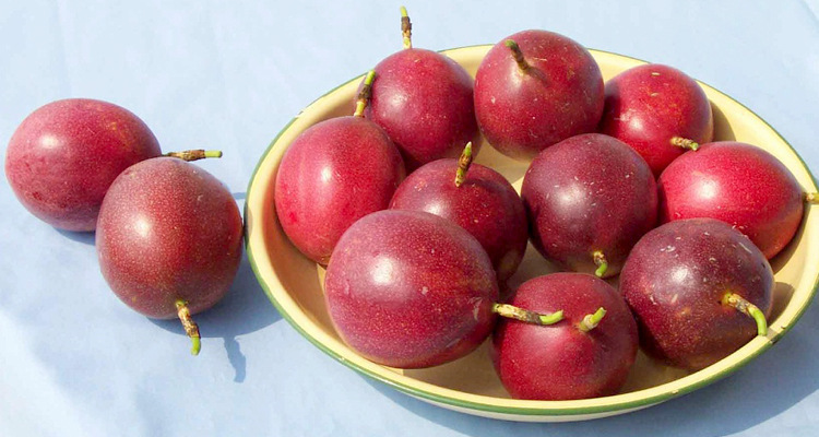 酿酒方法:百香果酒的酿制与功效