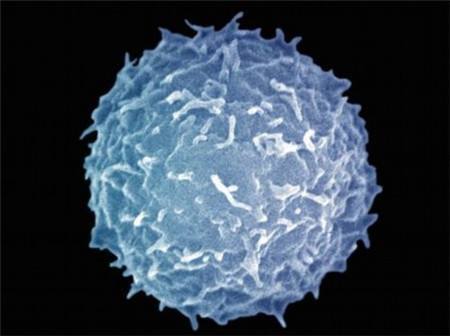 化疗后打增白针有哪些需要注意的